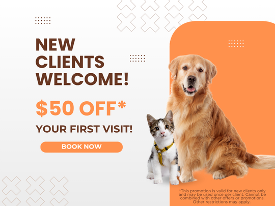 -50 off (44) Dog in a bucket
